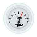 GAUGE ARCTIC WHITE TRIM J/E