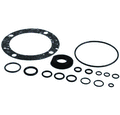 SS SEAL KIT 250-75V