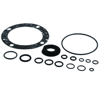 SS SEAL KIT 250-75V